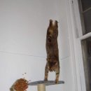 뭘봐PC방 이미지