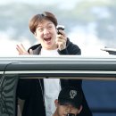 덤덤 이미지
