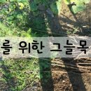 비안농장 이미지