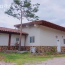 비둘기낭 황토펜션 | 포천 대회산리 펜션 황토펜션 가격 위치 이벤트