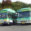 영진교통 이미지