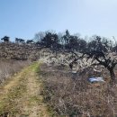 냉천농장 이미지