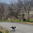 조선시대 | 오뭐먹?? 5탄 목포 닭구이집 조선시대 후기