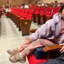 알라딘과 자스민공주 | 어린이뮤지컬 알라딘과 자스민공주 꿈빛극장 시야 주차 후기