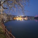 새마을낚시터 이미지