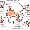 아데노바이러스 아데노바이러스 관련 감염경로 잠복기 이미지