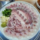 청하회물회