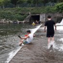 소백산계곡펜션민박 이미지