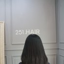 헤어251