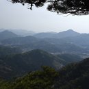 봄은 달아나 버렸다 – 서리산, 축령산 이미지