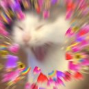 (주)세모 그래픽스 | 마 후렌드들에게 전하는 GTQ,GTQi 시험쓰~