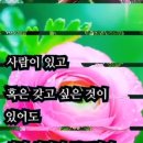 시절인연 - 서귀포시 용흥로 42 | 시절인연