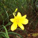 돌뫼식당 이미지