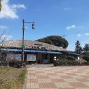 사또식당 이미지