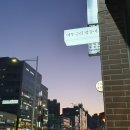 어쭈구리왕문어 이미지