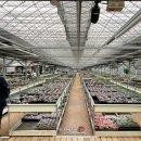 지양농장 이미지