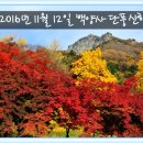 역전농약사 이미지