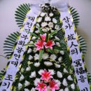행운꽃집 - 중구 보문산로177번안길 40 | 행운꽃집