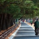 하동송림공원 네이버블로그