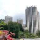 새나리로 | 추석을 맞아 분당 메모리얼파크를 다녀왔습니다.