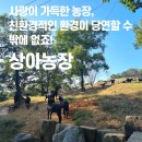 상아축산 이미지