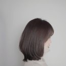 바니헤어 이미지