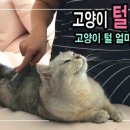 루미살롱 이미지