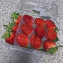 피자에땅 충무점 이미지