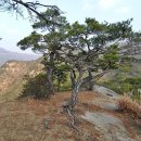 제 370차 상록수 정기산행 충북 제천 미인봉(06/15) 이미지