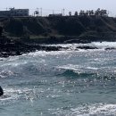 어사또목장 이미지