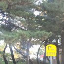 공영주차장 둘레 이미지