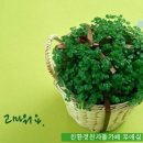 행운 이미지