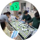 과학적 원리 그래비트랙스 | [공지] 우리 아이 좋아하는 그래비트랙스, 이제 엄마가 더 잘 알게 되었어요