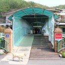 초리골초계탕 이미지