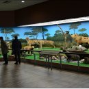 계룡산자연사박물관 이미지