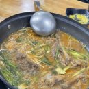 오리애반한가 이미지