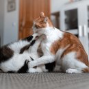 소리길화장실2 이미지