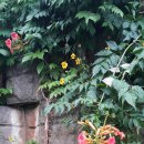 서광요양병원 이미지