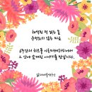 아로마파티