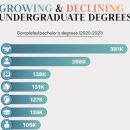 순위: 가장 인기 있는 미국 학사 학위(2011-2021) 이미지