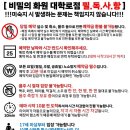 비밀의화원대학로