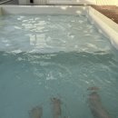 스테이 목월 이미지