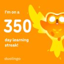 광명로 264번길 | [일상] 2월의 고해성사 (26년 2월말 직장인 일상 블로그)