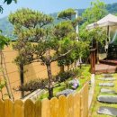 로뎀프리 이미지