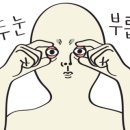 협진정육점 이미지