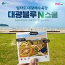 (주)투어디자인 네이버블로그