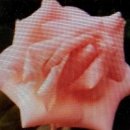 도담공원 이미지