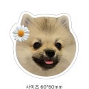 삼원로 | 냥글몽글 강아지그립톡 주문제작 후기