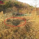 양도면-4 이미지