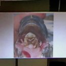 더베이(THE BAY) 이미지